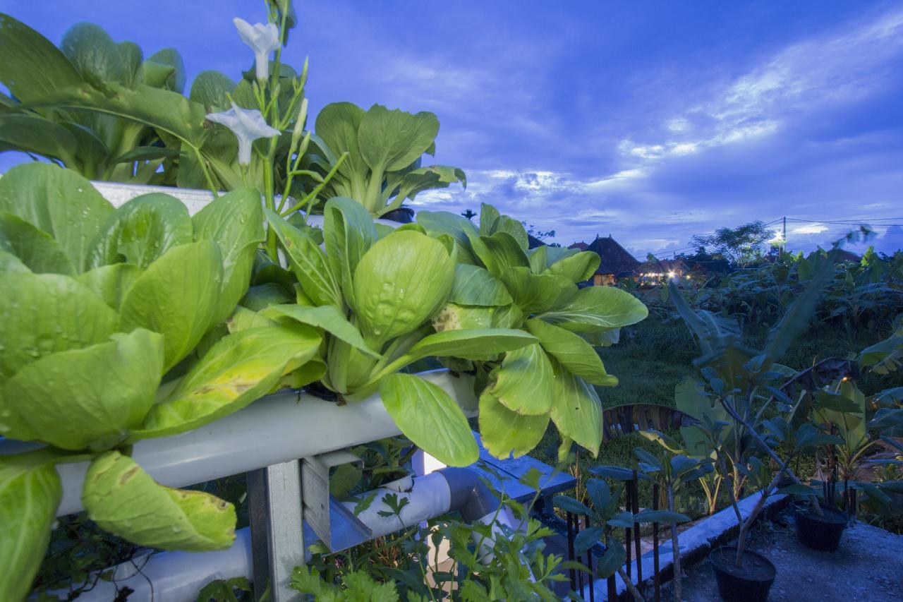 Vinayaka Ubud Exteriér fotografie