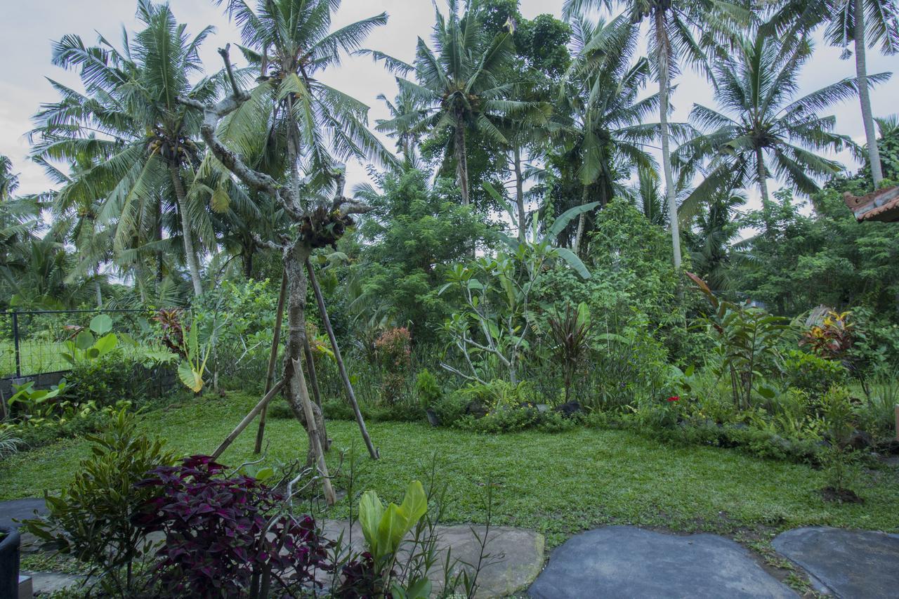 Vinayaka Ubud Exteriér fotografie