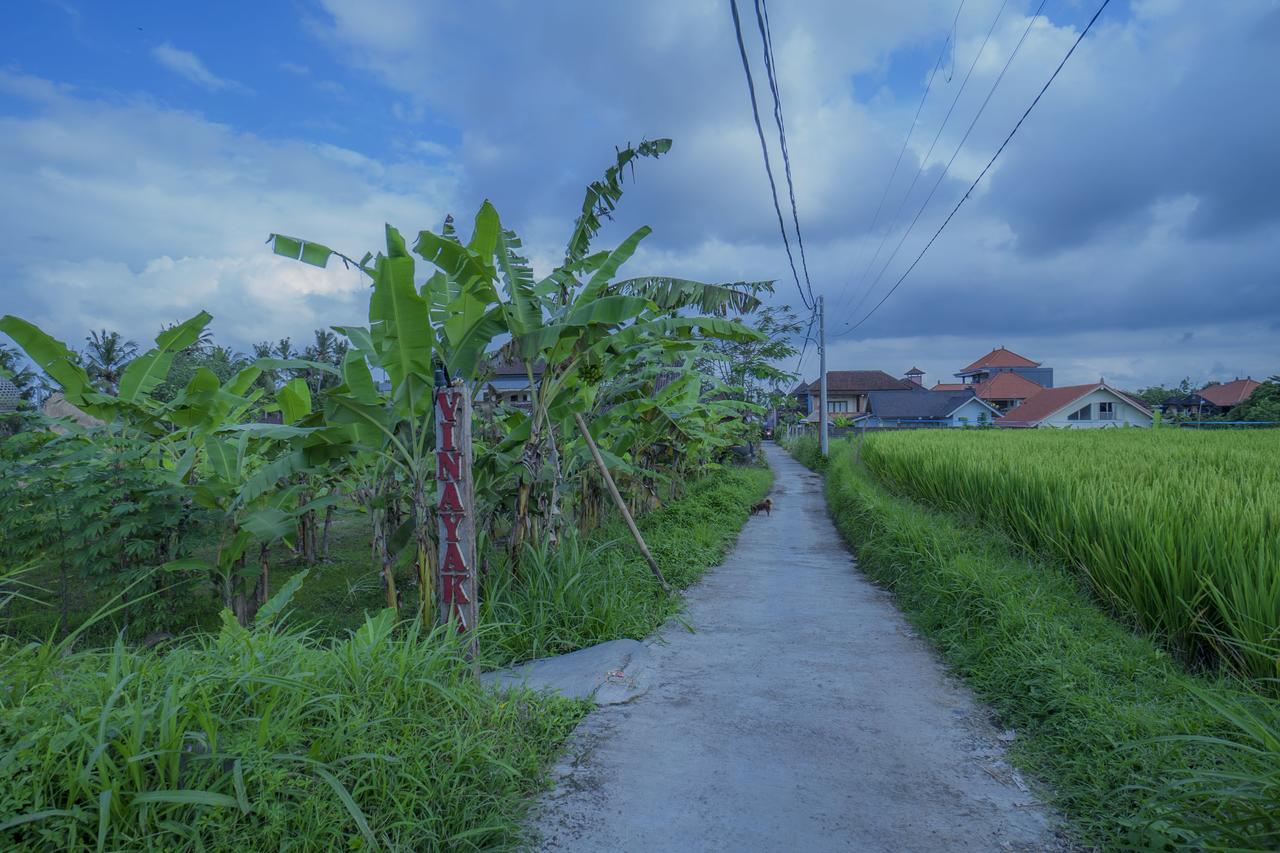 Vinayaka Ubud Exteriér fotografie