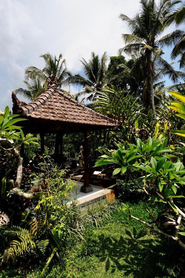 Vinayaka Ubud Exteriér fotografie
